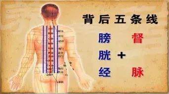 脊柱,男人的龙脉,女人的凤骨 这样保养,疾病去无踪 艾灸