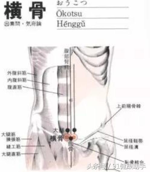 穴位养生 月经不调 遗精阳痿 小腹痛按横骨,益肾助阳清热除燥