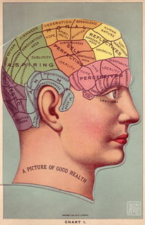 从医学到预言术,欧洲人曾痴迷 摸骨算命 长达百年