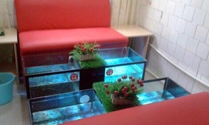 【秋香理疗馆】摸骨整脊推拿套餐,男女不限_团800南昌团购网站大全