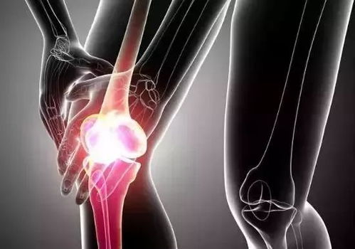 古法养生 艾珍好蕲艾暖膝灸,暖冬呵护