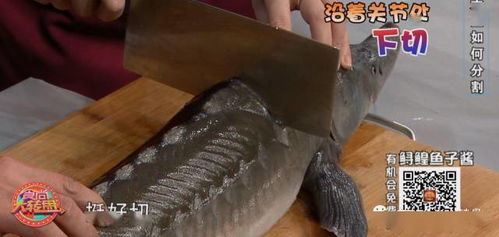家有大鱼没锅炖 教你摸骨分割大法