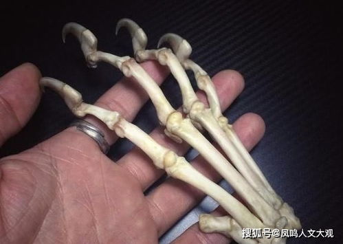 长寿的人,55岁后往往有以下4个表现,能占一个,也值得恭喜 身体