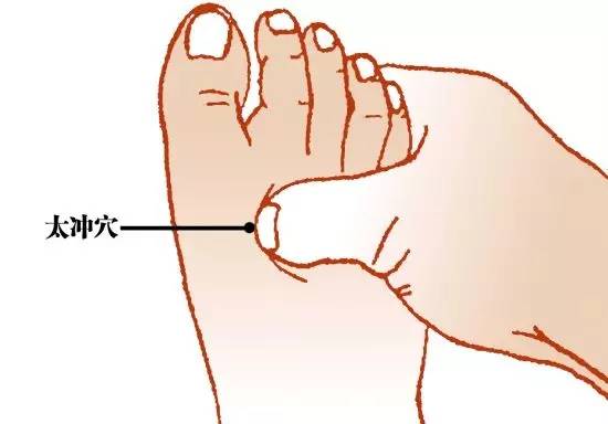 穴位 穴位养生宝典,百试百灵