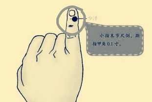 养生系列之穴位篇43 少泽 前谷 后溪 腕骨之说