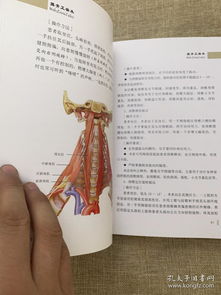 摸骨正脊术 古老智慧中的现代养生之道